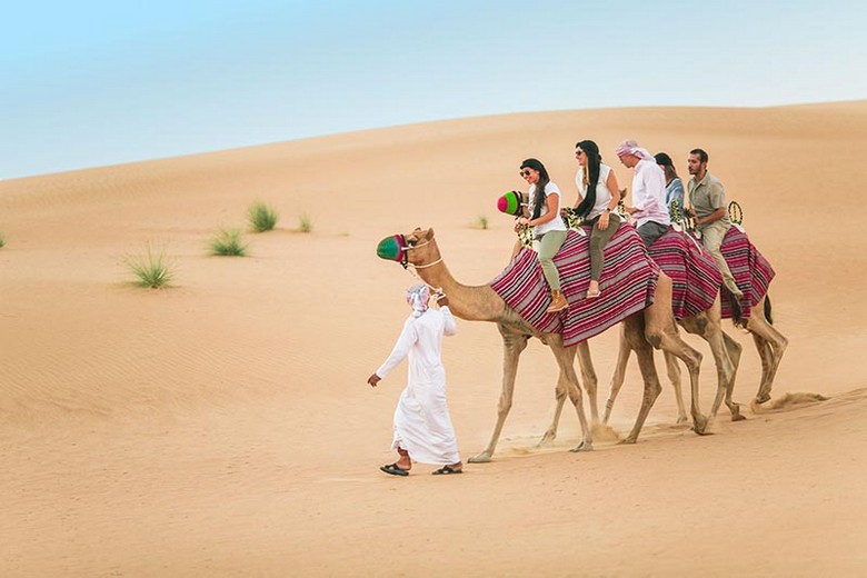 Đoàn khách cưỡi lạc đà và ngồi xe vượt đồi cát trong tour desert safari